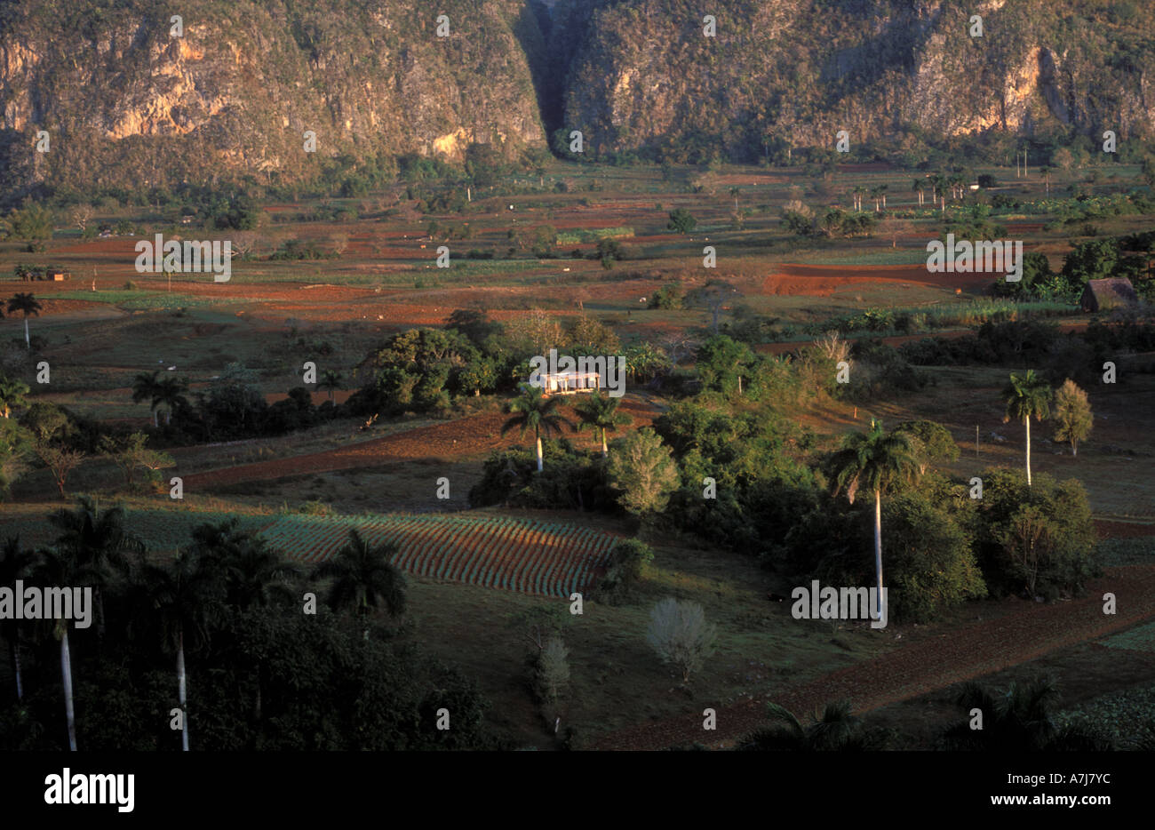 Val Vinales with tobacco farms and mogotes UNESCO World heritage site Cuba Stock Photo