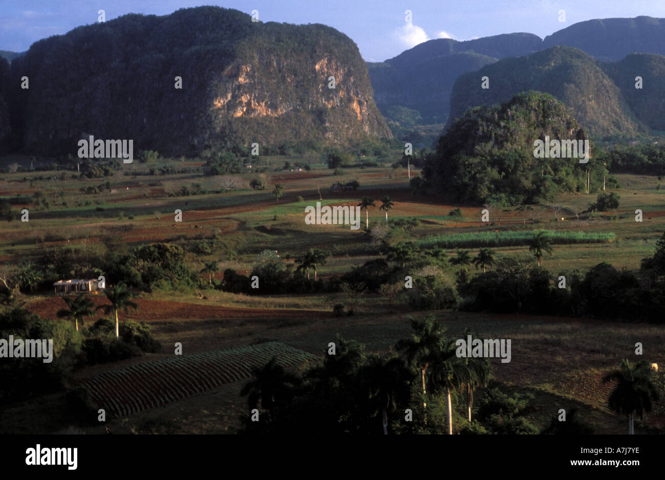 Val Vinales with mogotes tobacco farms UNESCO World Heritage site Cuba Stock Photo