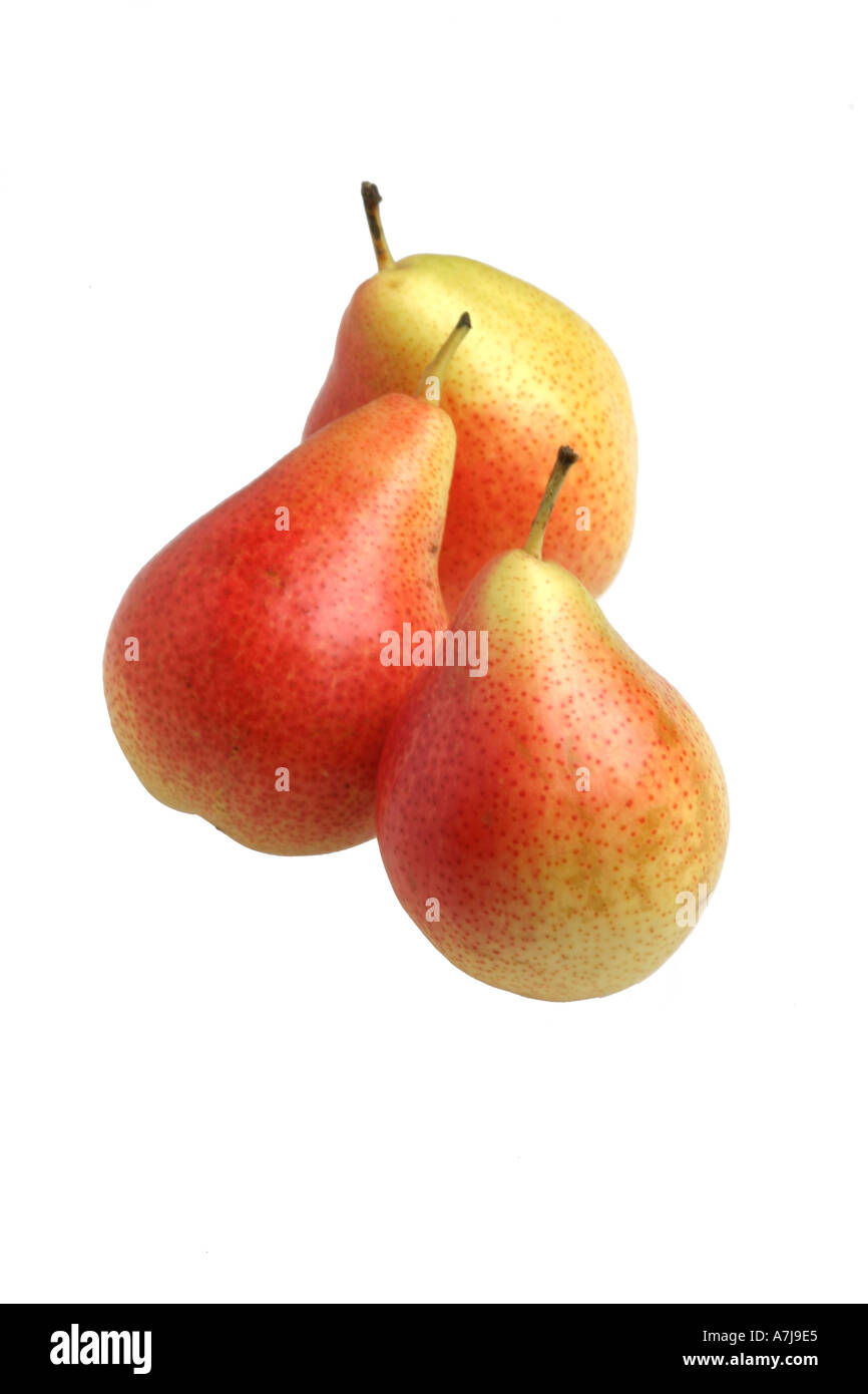 three Forelle pears on a white background Stock Photo
