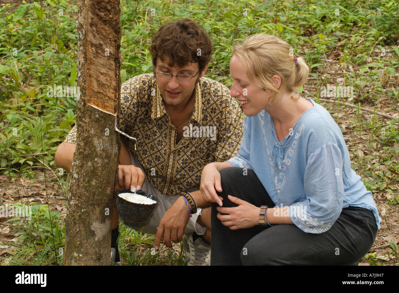 Tourists examine rubber harvesting during a home stay in  Tung Nang Dam on the North Andaman Sea THAILAND Stock Photo