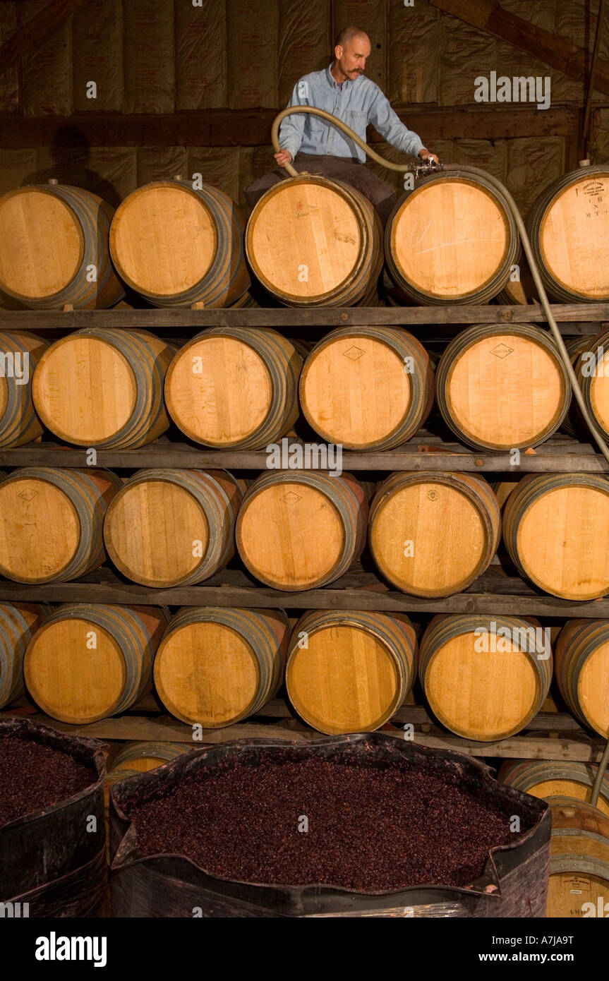 Winemaker Rollin Soles filling barrels of pinot noir Dundee Hills AVA Argyle Winery Willamette Valley Oregon Stock Photo