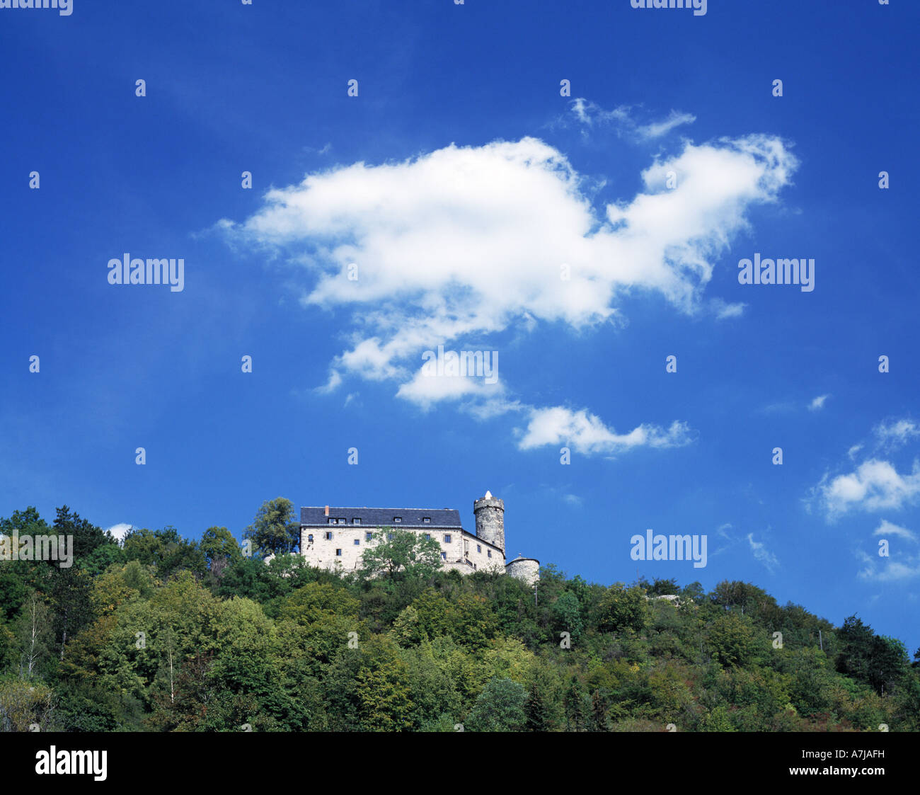 Burgruine Greifenstein auf einer Anhoehe, Schoenwetterwolken, Bad Blankenburg, Schwarzatal, Naturpark Thueringer Wald, Thueringen Stock Photo