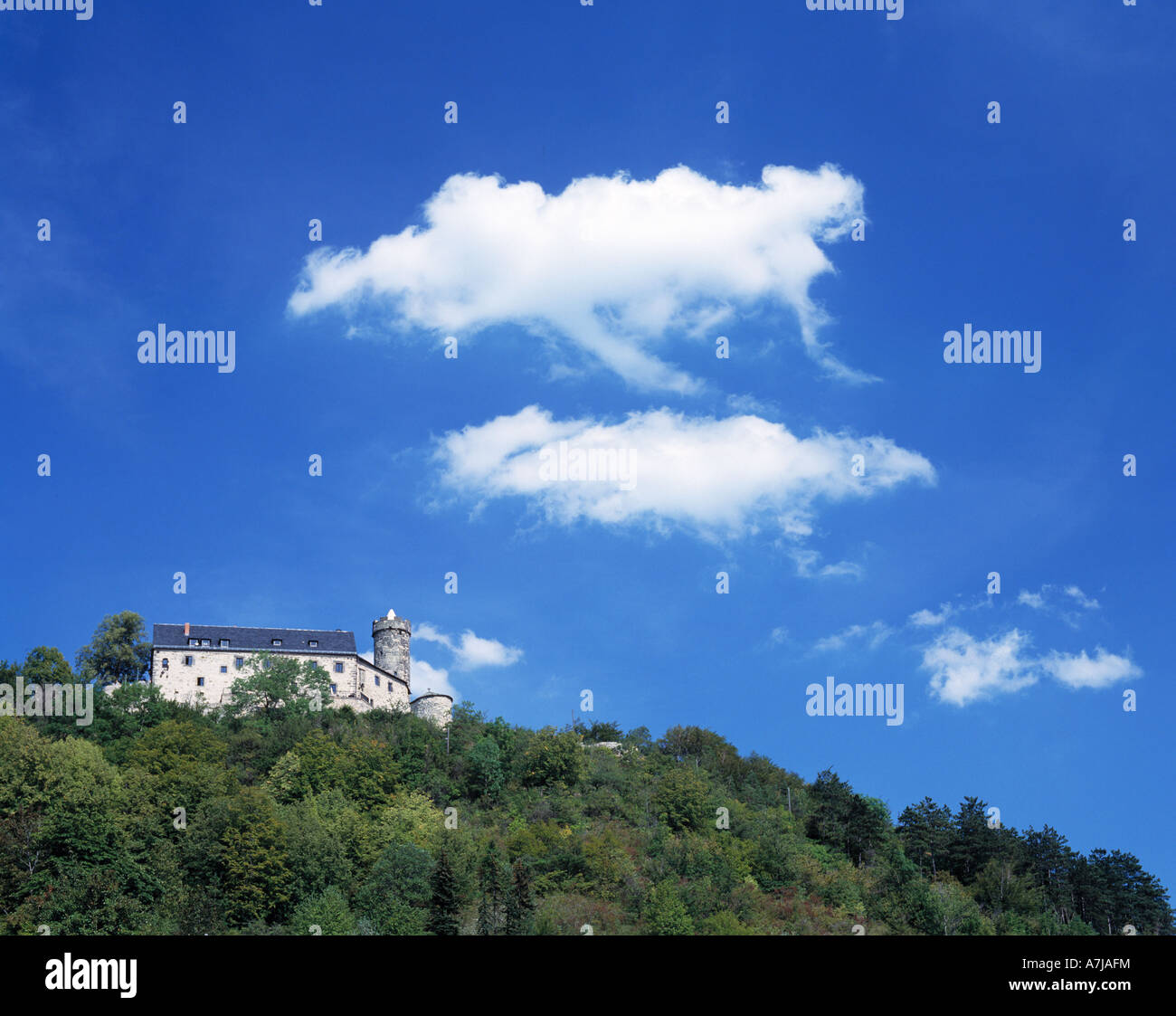 Burgruine Greifenstein auf einer Anhoehe, Schoenwetterwolken, Bad Blankenburg, Schwarzatal, Naturpark Thueringer Wald, Thueringen Stock Photo