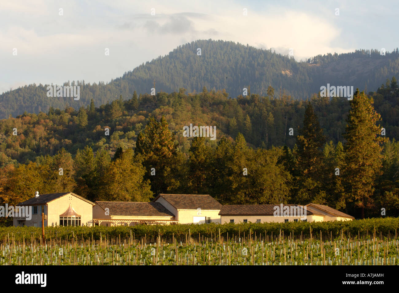 Troon Vineyard Applegate Valley Oregon Stock Photo