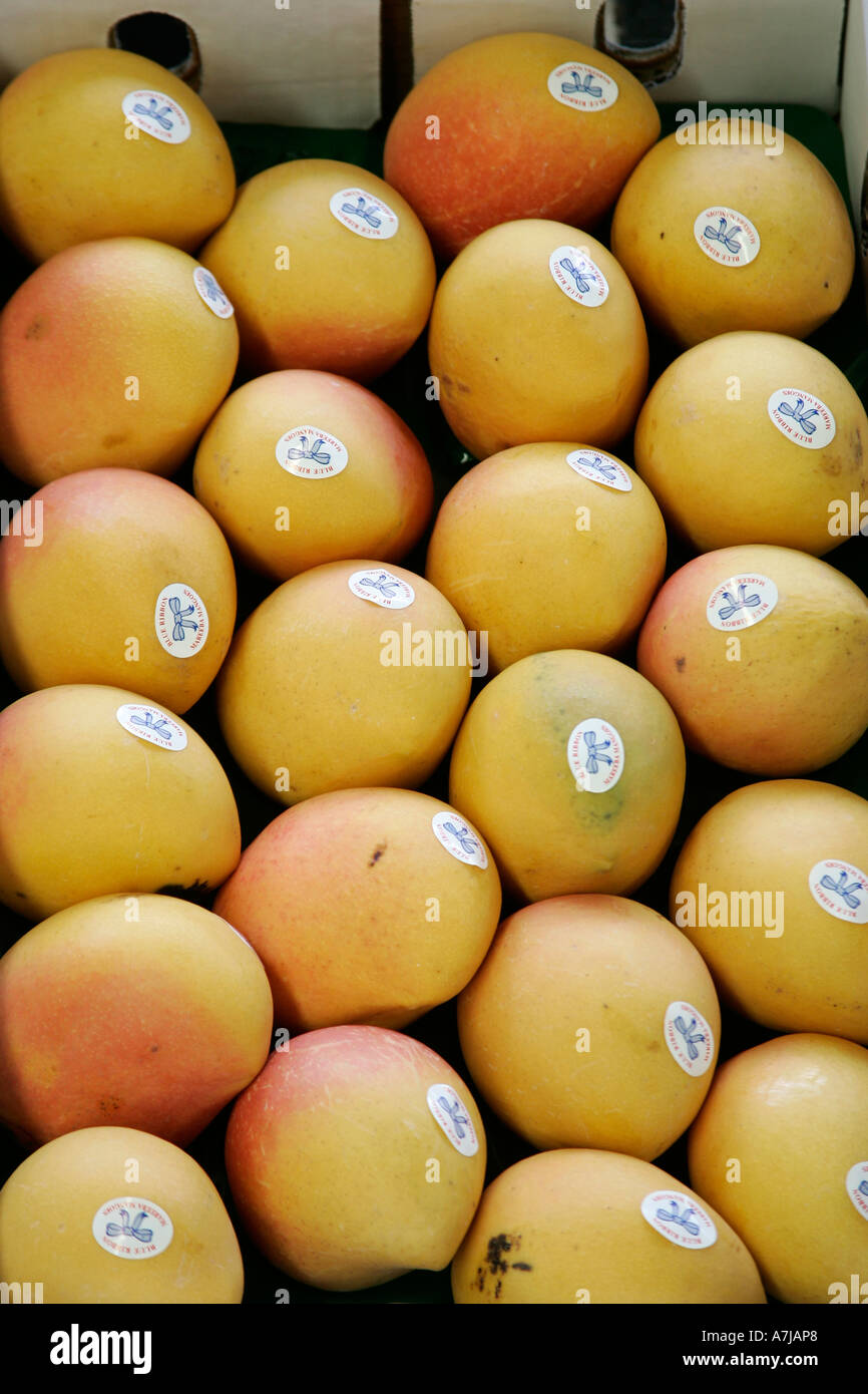 Mangoes in a crate Stock Photo