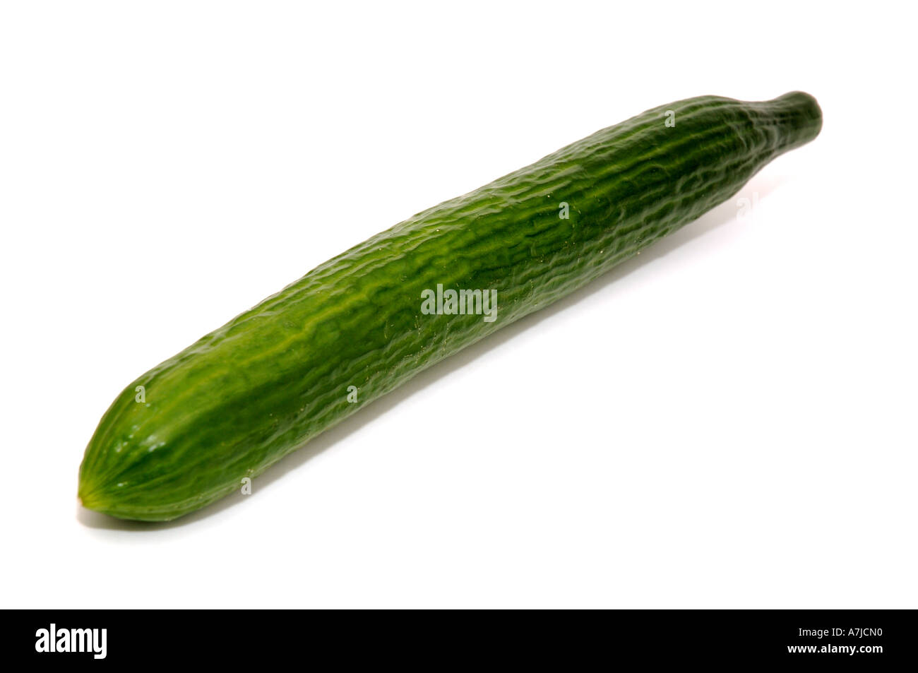 Hidroponically grown long english cucumber isolated over white