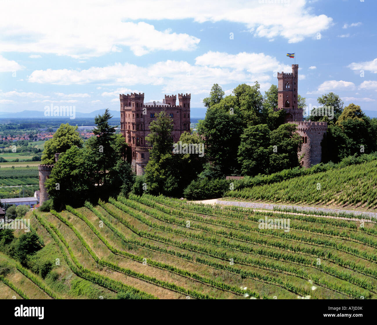 Burg Ortenberg in Weinbergen, Ortenberg (Baden), Kinzigtal, Oberrhein