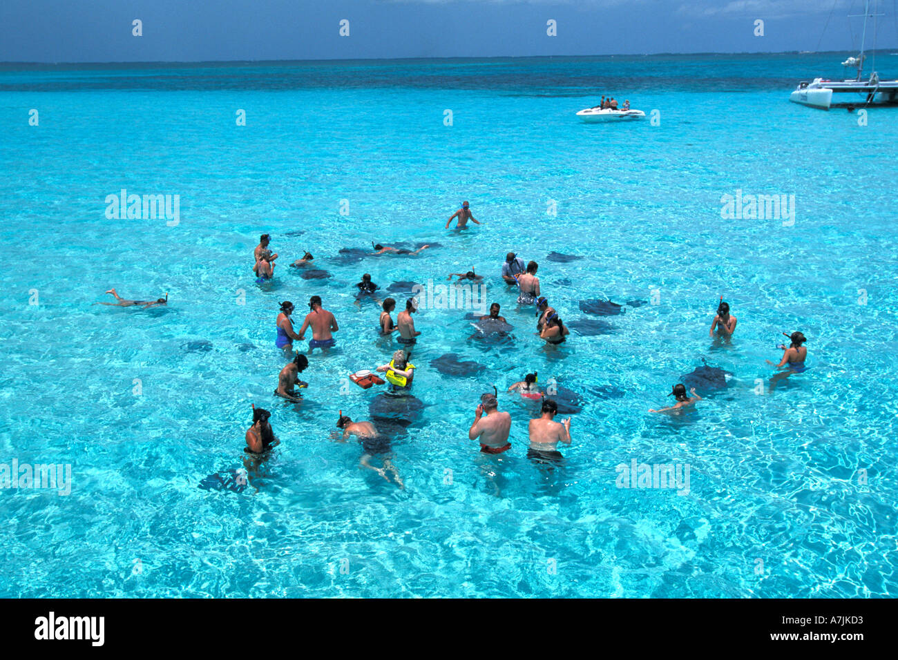 Grand Cayman Island West Indies Caribbean Stingray City Sand Bar sting ray city snorkeling Stock Photo