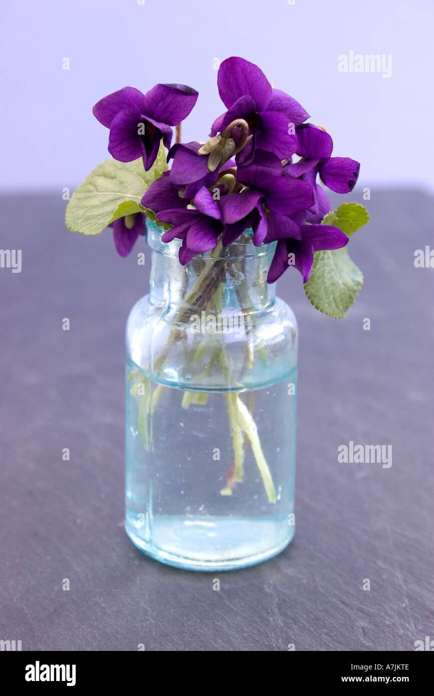 Perfume violets hires stock photography and images Alamy