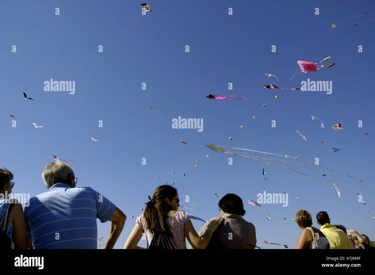 Kites flying at the Marseilles International Fête du Vent kite festival along the Prado beaches, Marseille, France. Stock Photo