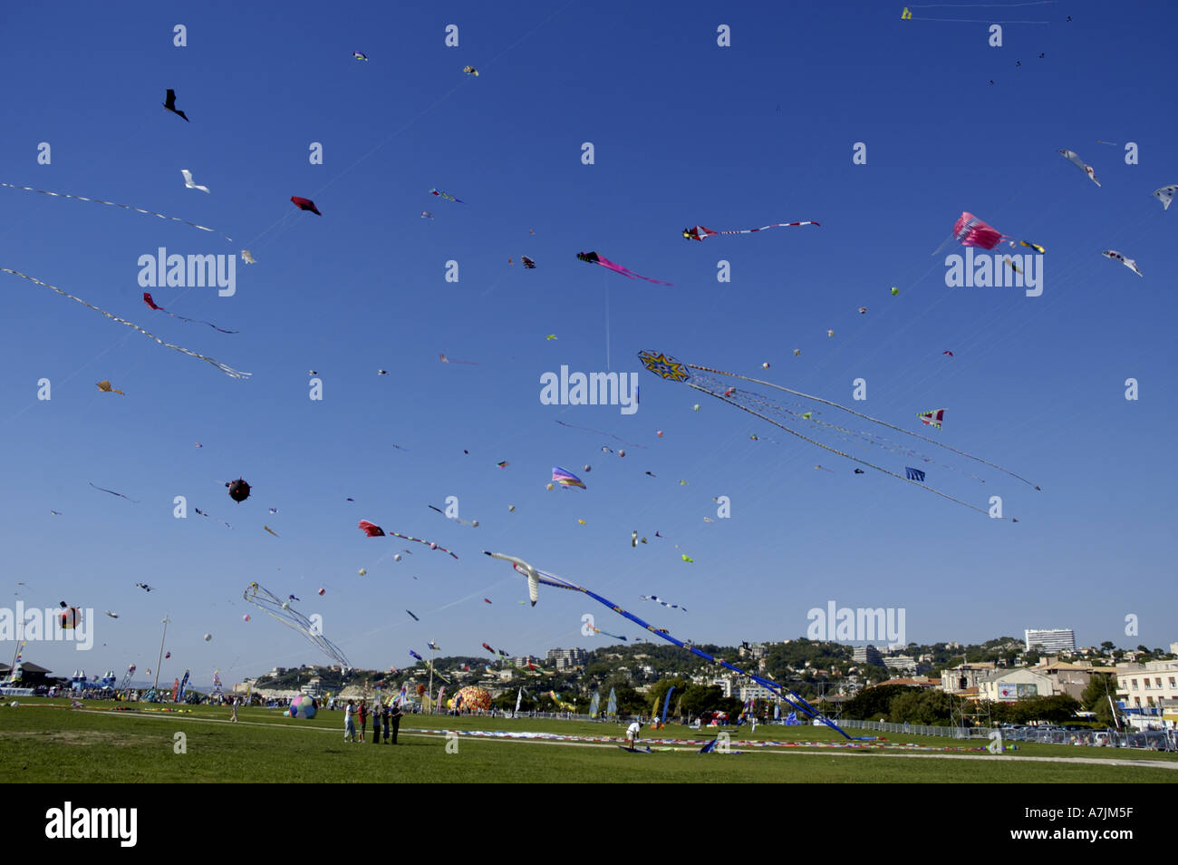 Kites flying at the Marseilles International Fête du Vent kite festival along the Prado beaches