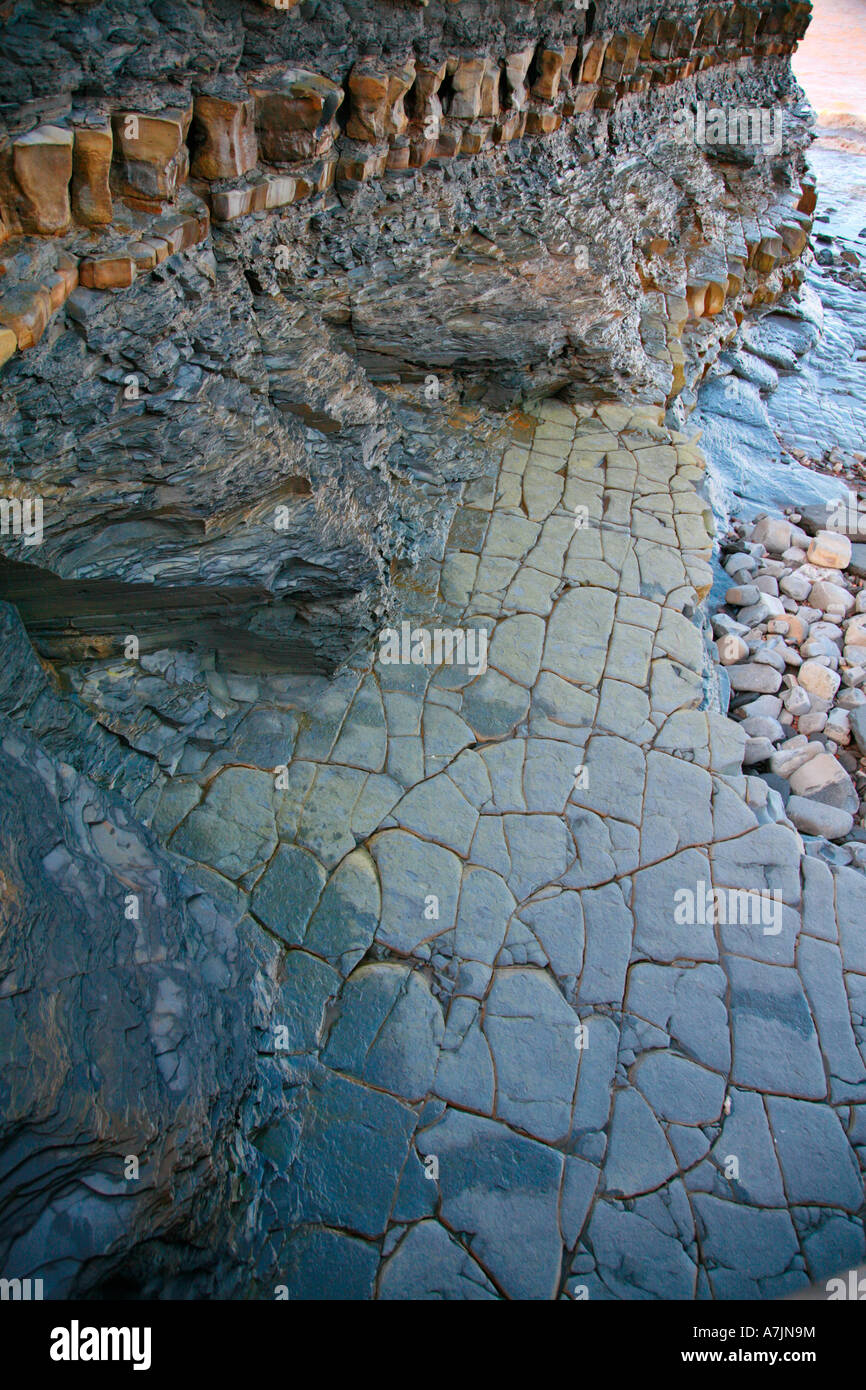 Natural paving in Jurassic lias beds on the beach near East Quantoxhead in Somerset Stock Photo