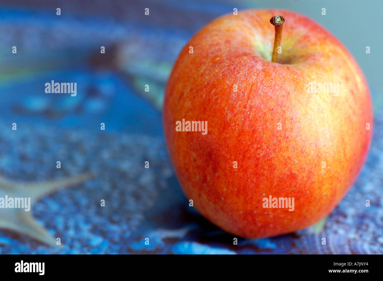 Bright red apple on a blue background Stock Photo