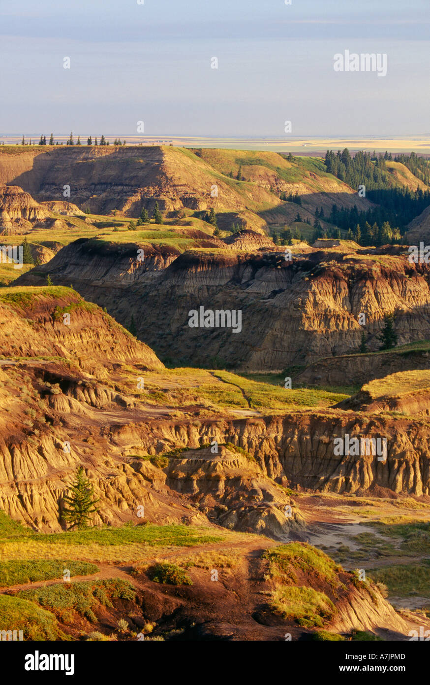 Horseshoe Canyon in badlands area near Drumheller Alberta Canada Stock