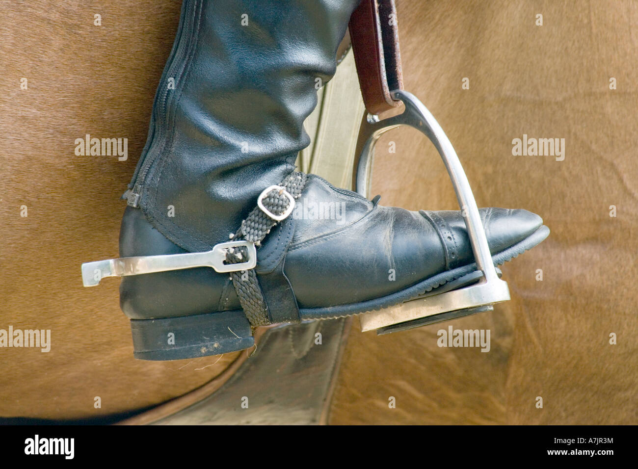 Stirrup And Spurs High Resolution Stock Photography and Images Alamy