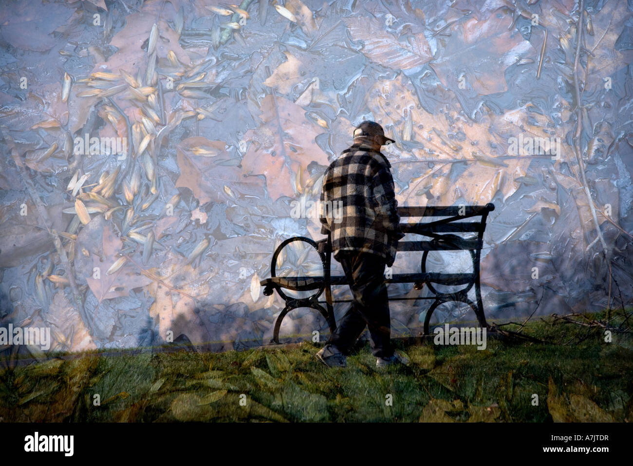 collage of man walking in front of park bench with leaf pattern in sky Stock Photo