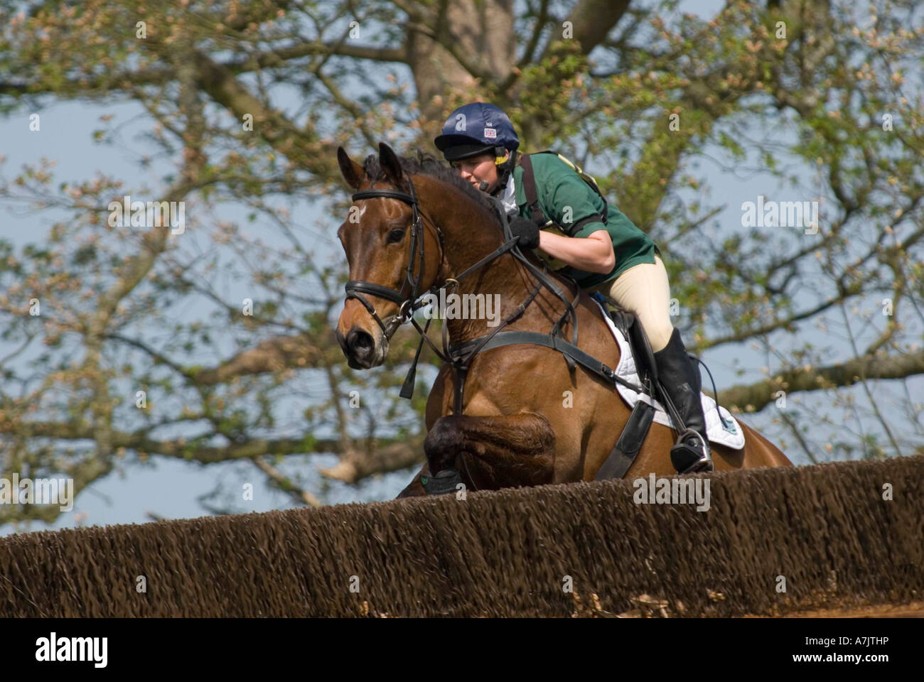 Three Day Event Rider Taking part in the Cross Country Phase at the Weston Park Spring Horse Trial 2007 Stock Photo