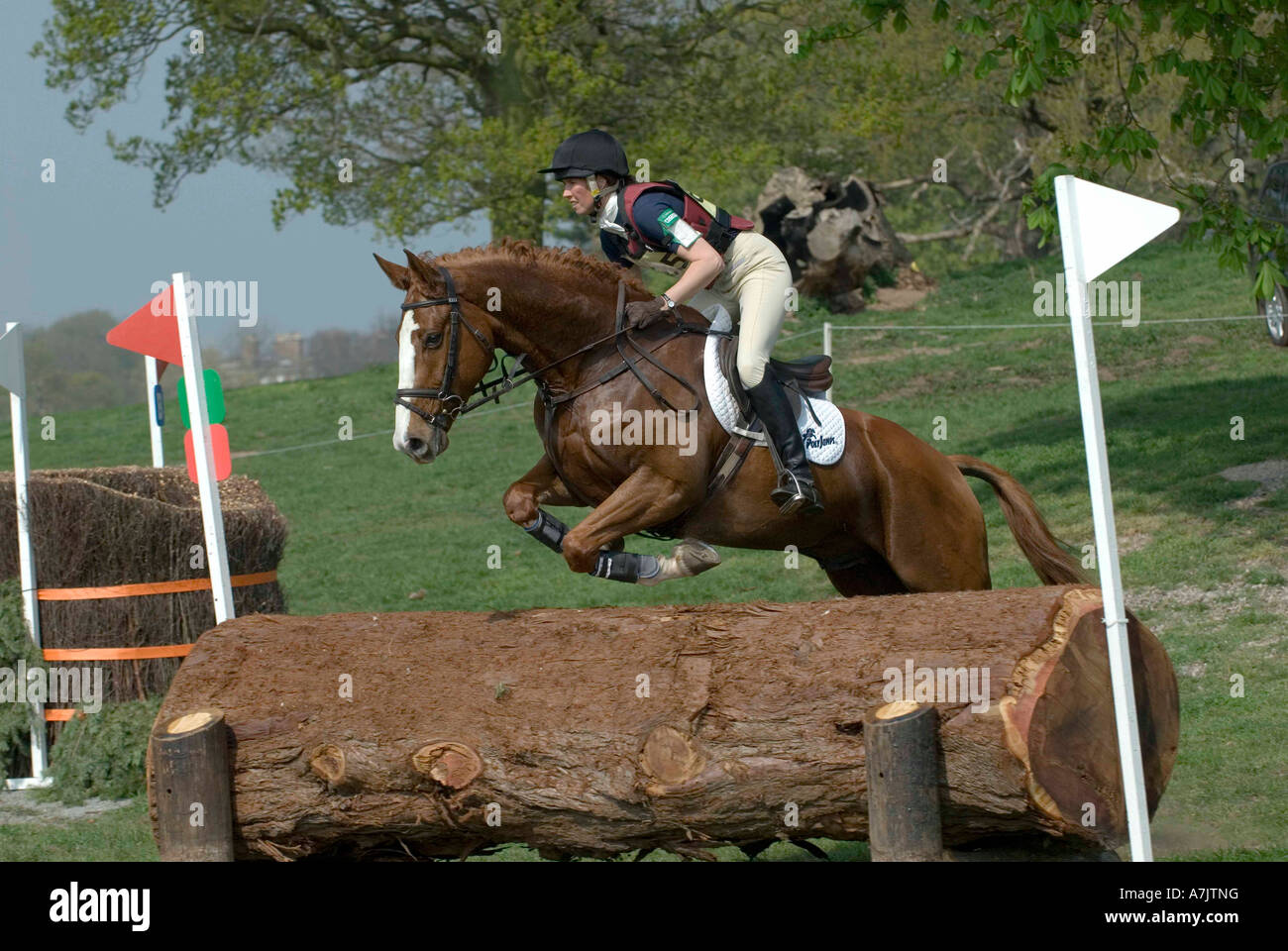 Three Day Event Rider Taking part in the Cross Country Phase at the ...