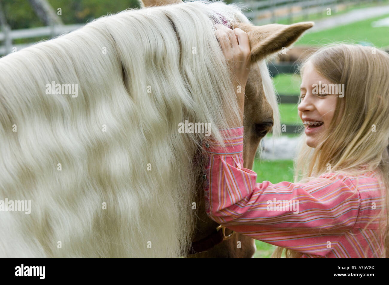 Young blonde hair girl bonding with Palomino horse Stock Photo Alamy