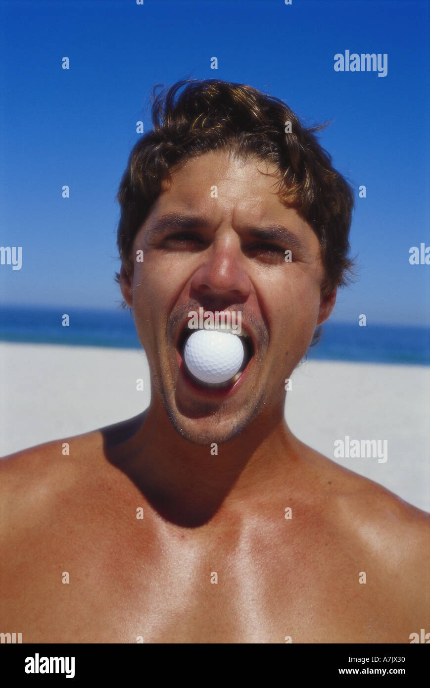 Ball in mouth hires stock photography and images Alamy