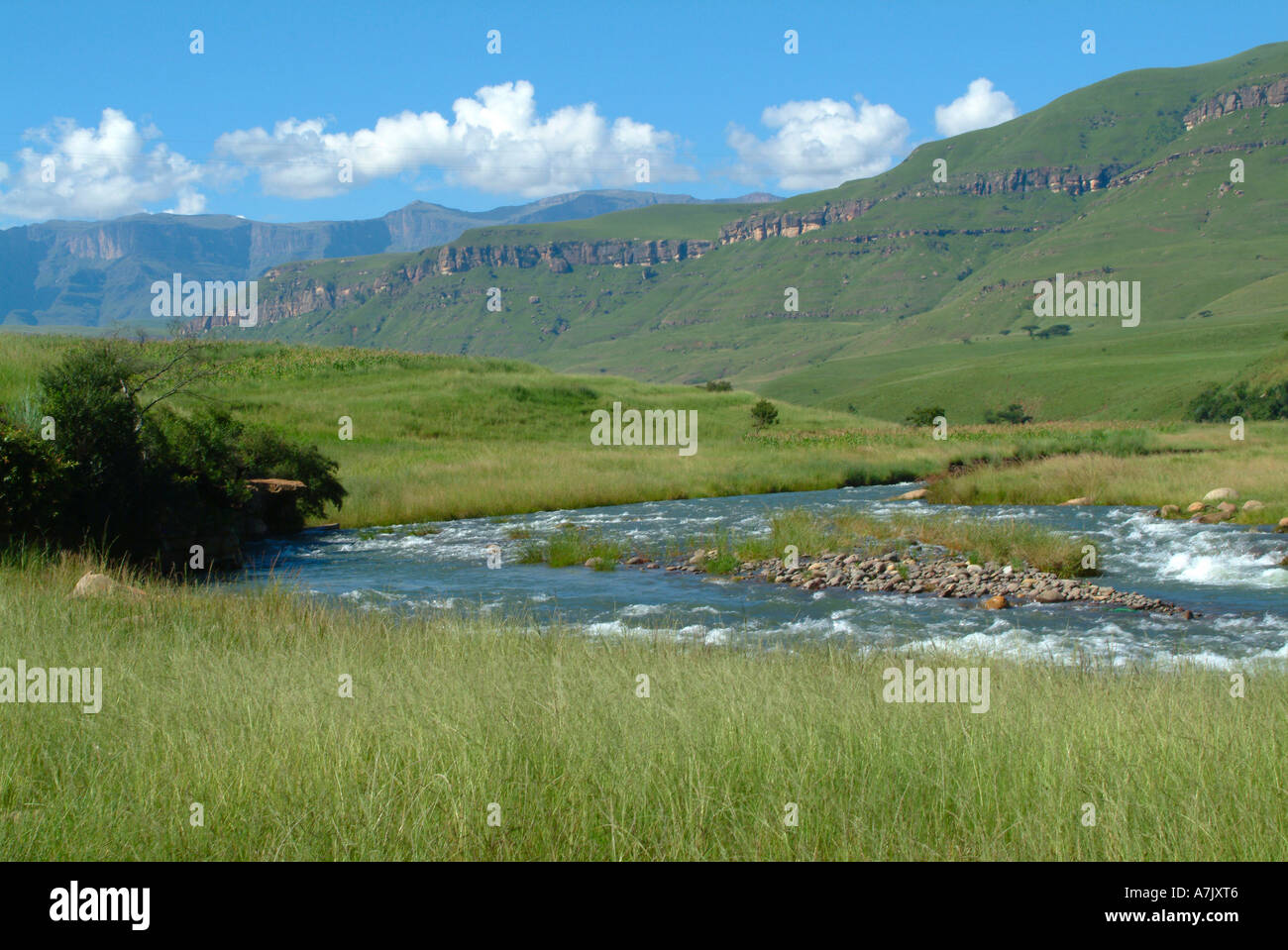 The Fast Flowing River Mhlwazini near Cathedral Peak in Drakensberg Mountains Zulu Kingdom Kwazulu Natal South Africa Stock Photo