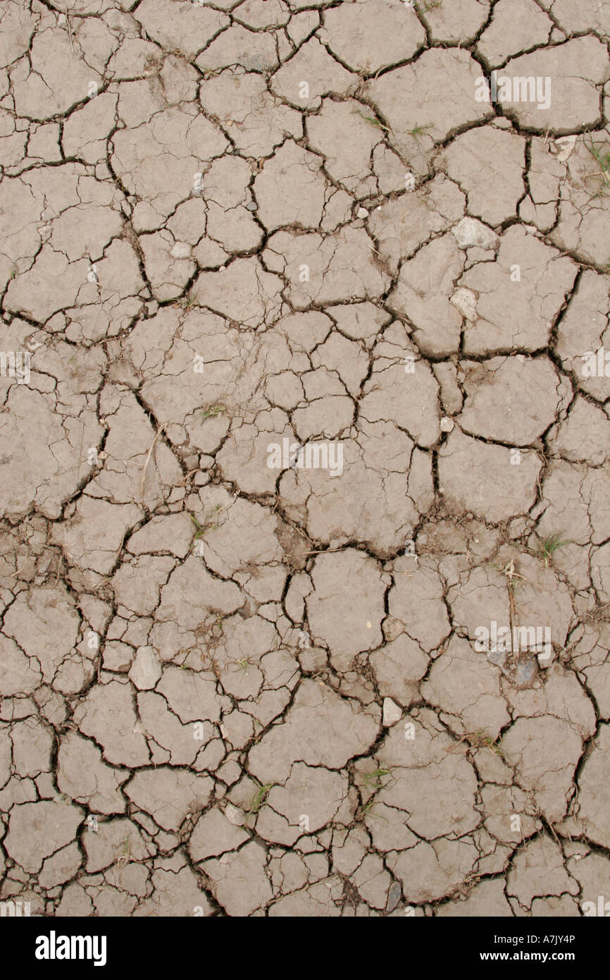 Cracked dry earth of river bed. Stock Photo