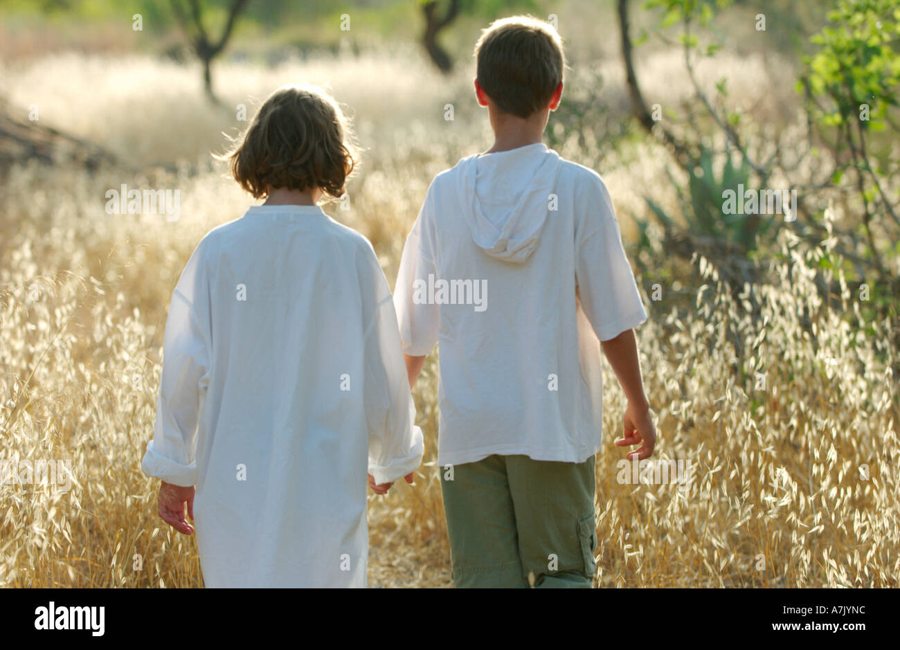 modern Haensel and Gretel,11 year old caucasian boy leads his nine year old sister through a dry field on a hot summer afternoon Stock Photo