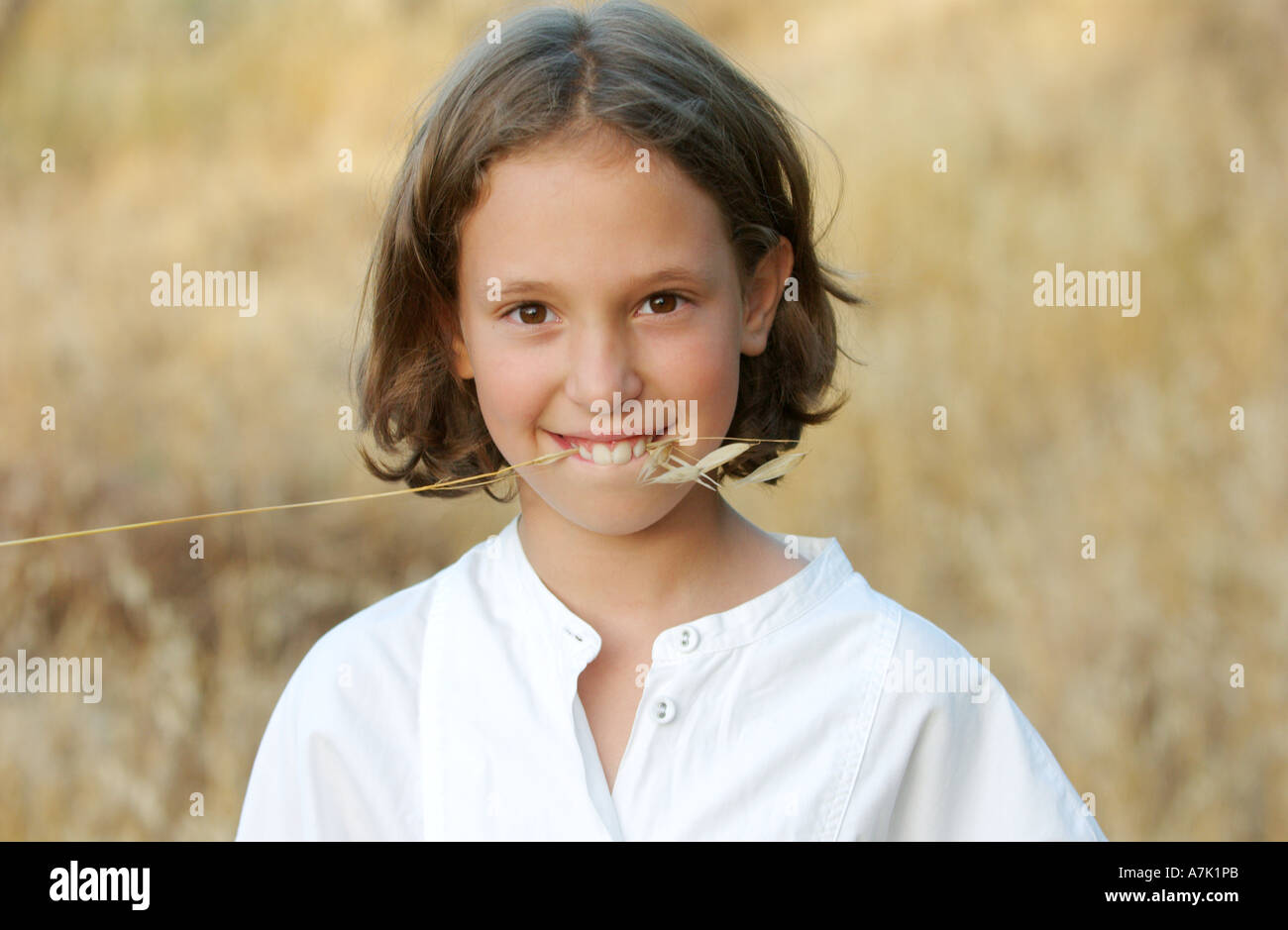 9 year  brunette caucasian girl wearing a white shirt chews on a dry blade of grass Stock Photo