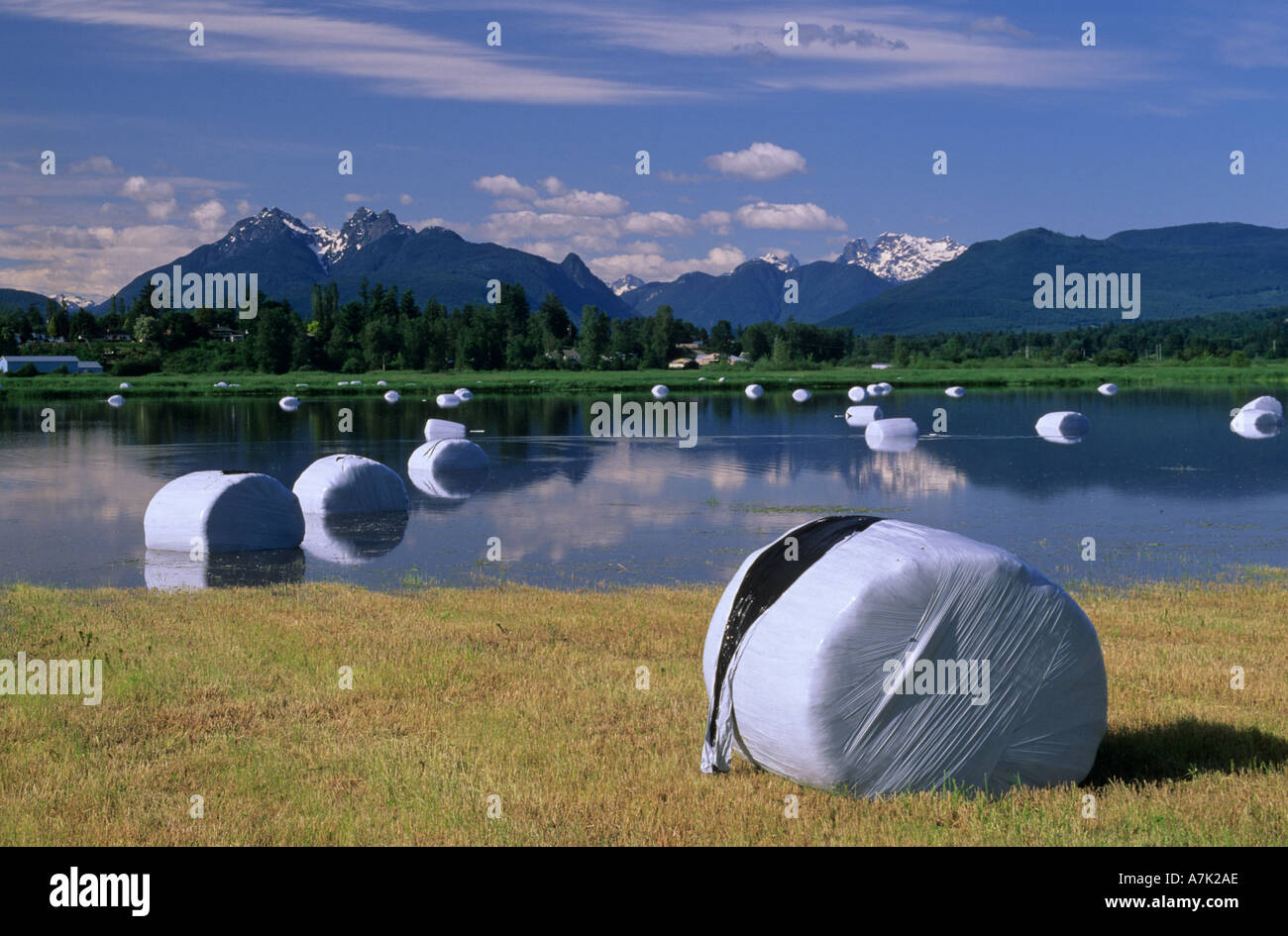 Langley field flood hires stock photography and images Alamy