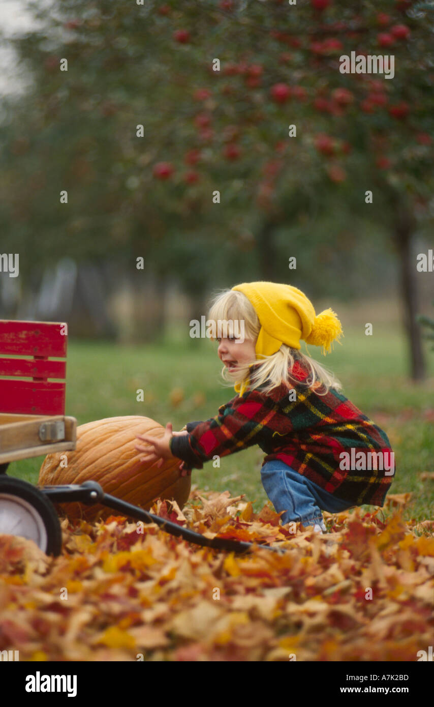 Little girl rolling big pumpkin Stock Photo - Alamy