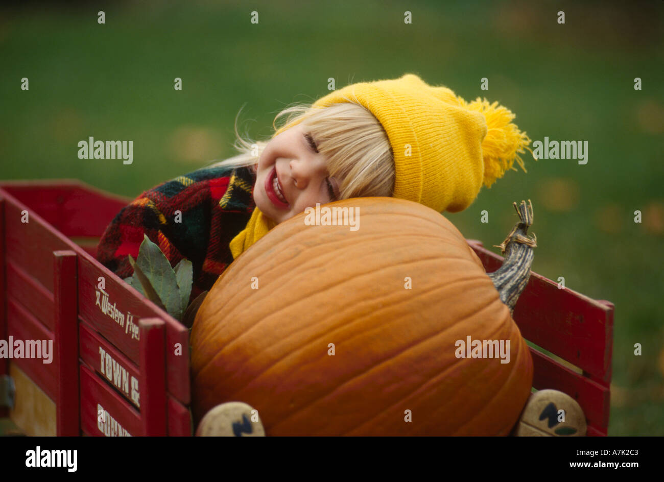 Little girl rolling big pumpkin Stock Photo - Alamy