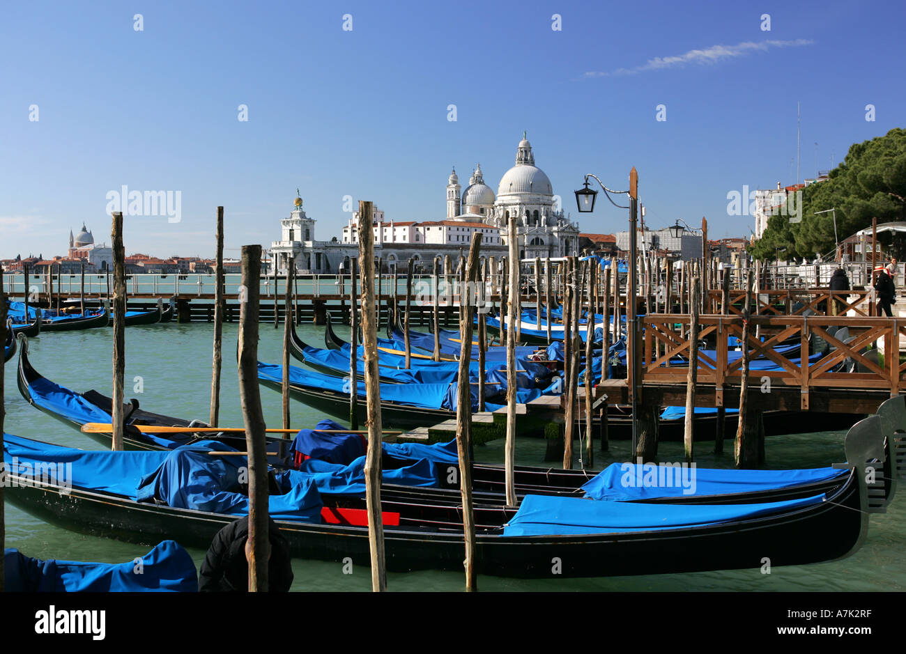 Venetian gondola boats moored on Grand Canal in front of Chiesa di Santa Maria della Salute Venice Italy Europe EU Stock Photo