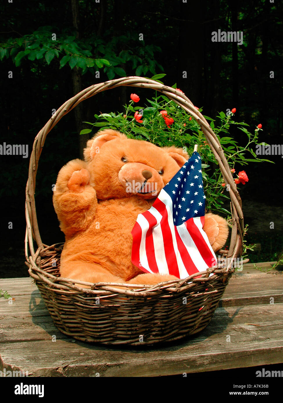 Teddy bear in wicker basket Stock Photo Alamy