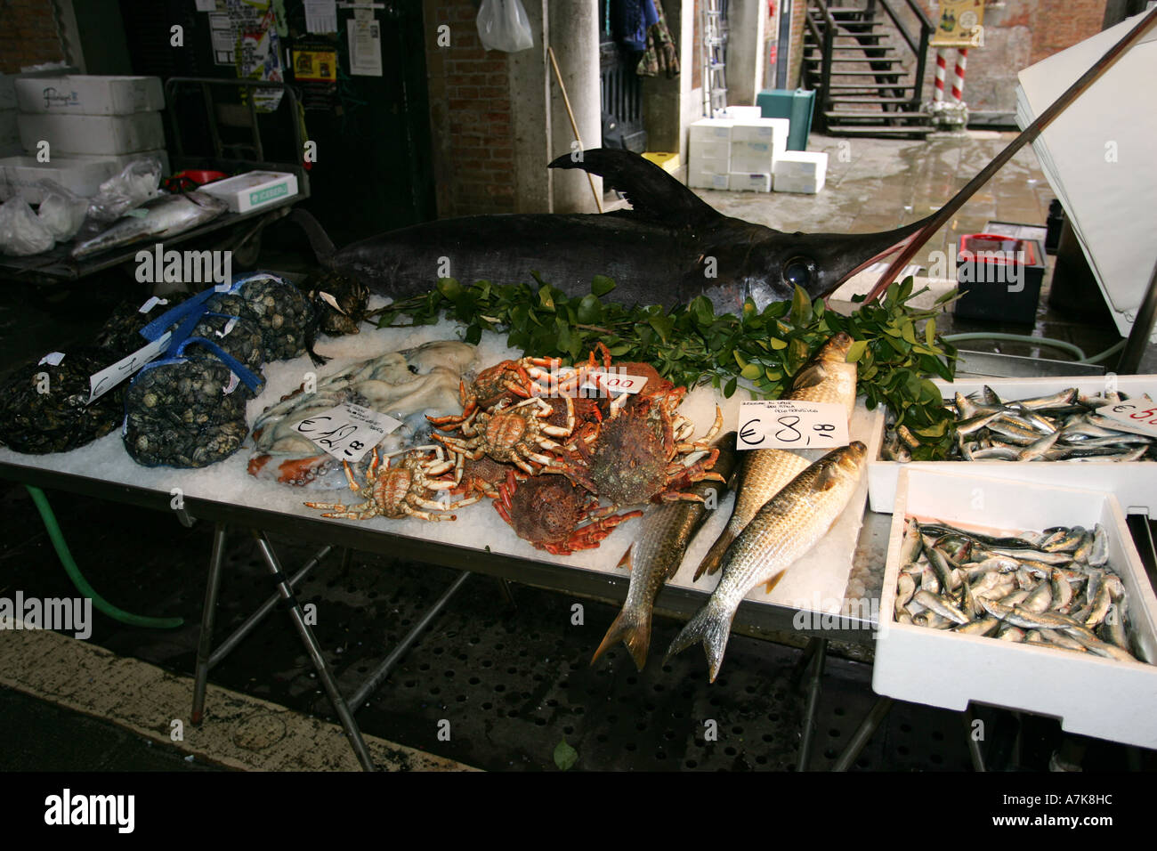 World famous fish market Prescaria near the Rialto Bridge, central Venice Italy Europe popular with tourists Stock Photo
