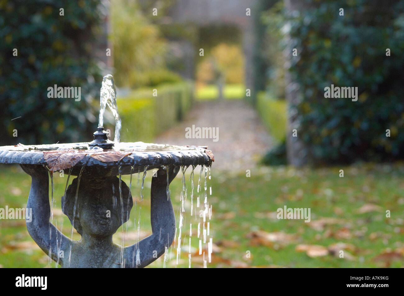 Closeup of water feature in garden towards left of frame Stock Photo