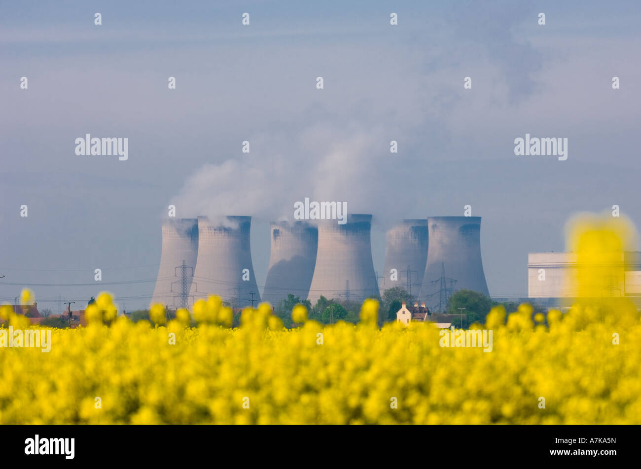 Drax biomass power station with yellow flowering rapeseed, which is