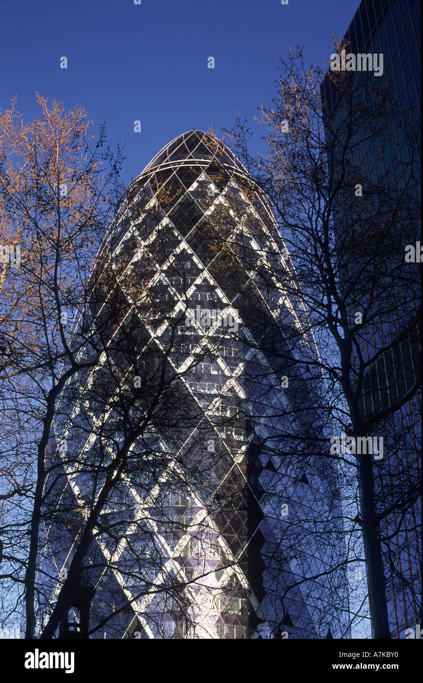 The Gherkin (AKA 30 St Mary Axe or Swiss Re building) viewed through London plane trees, City of London Stock Photo