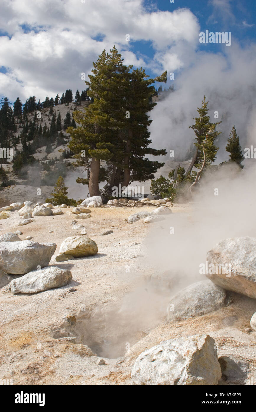 Geothermal activity creates steam at the hot sulfur pools of BUMPASS HELL in LASSEN NATIONAL PARK CALIFORNIA Stock Photo