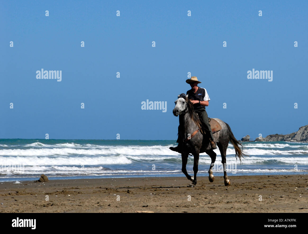 Horse Riding Porangahau Beach East Coast North Island New