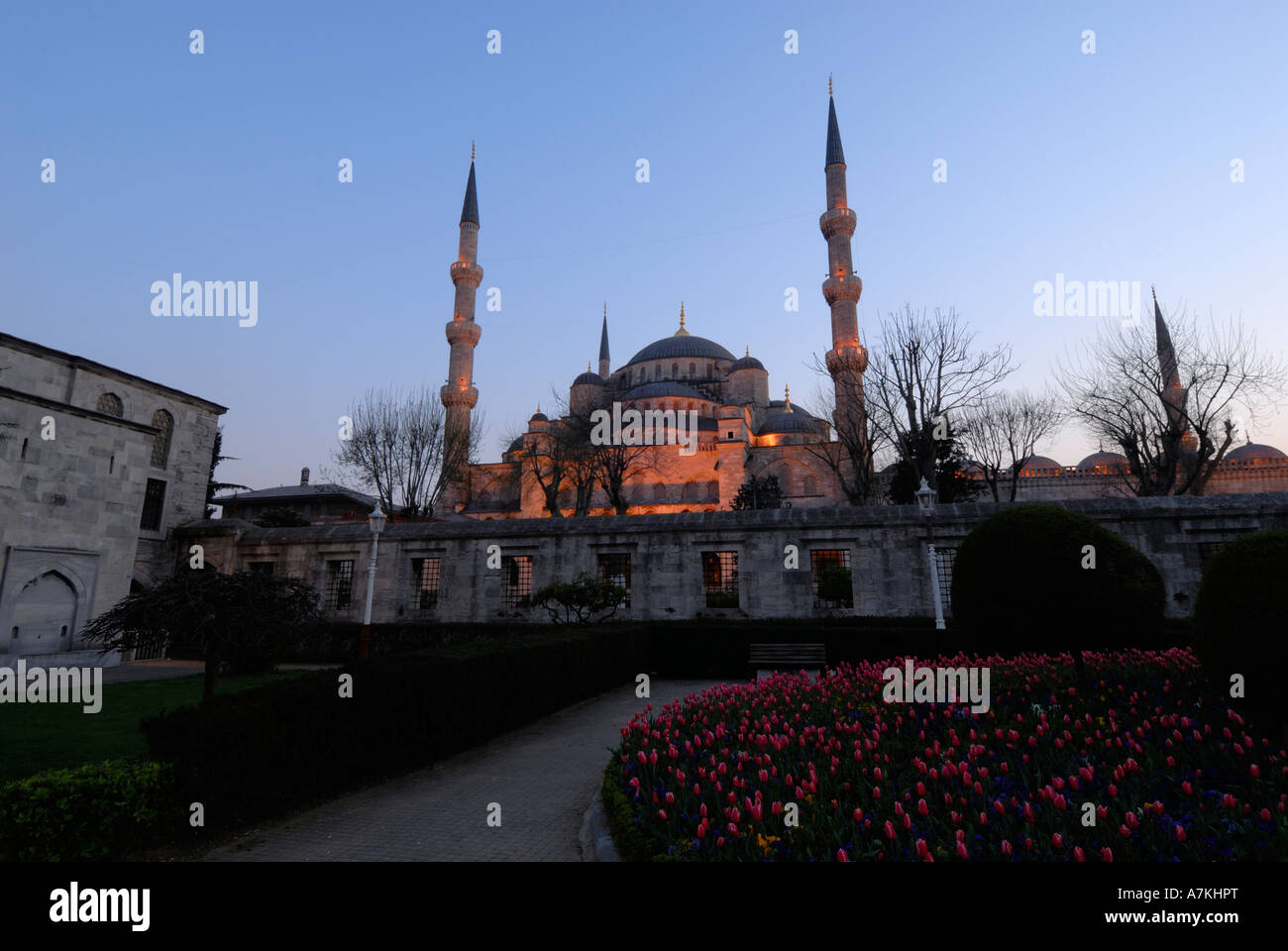 Sultan Ahmet Camii Blue Mosque Istanbul Turkey at dusk Stock Photo - Alamy