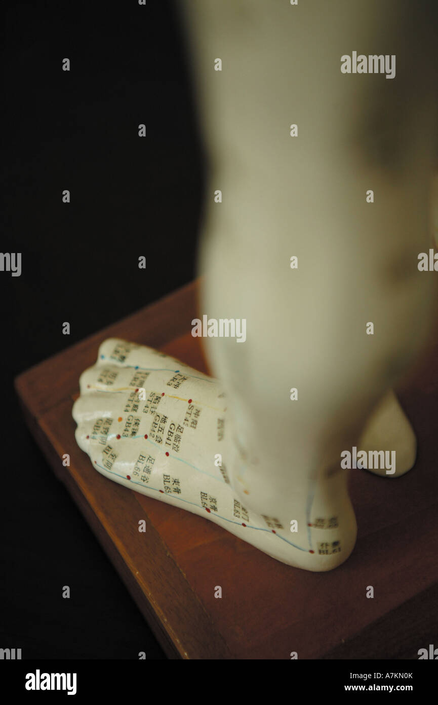 anatomical acupuncture model Stock Photo Alamy