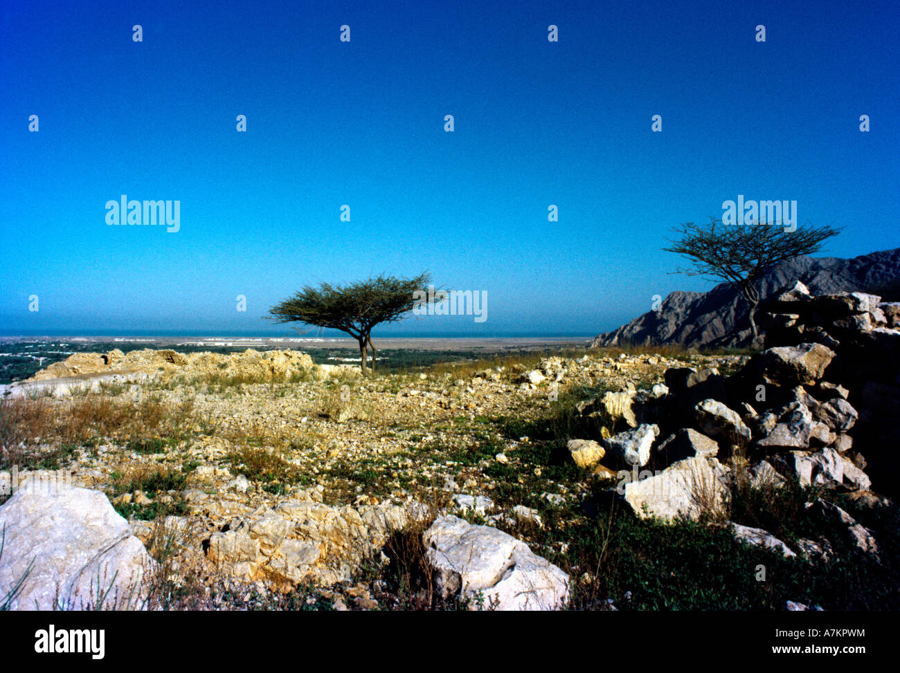Ras al khaimah queen of sheba palace hi-res stock photography and ...