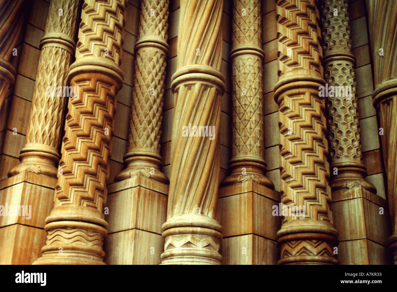 Pillars of Natural History Museum London Stock Photo 3873586 Alamy
