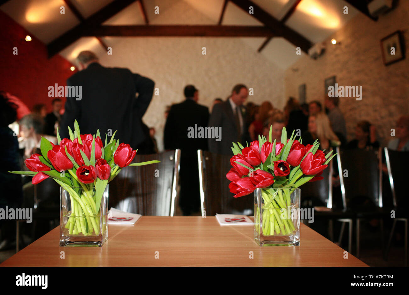 Bright Red Tulips In Plain Glass Vases On A Table In A Room