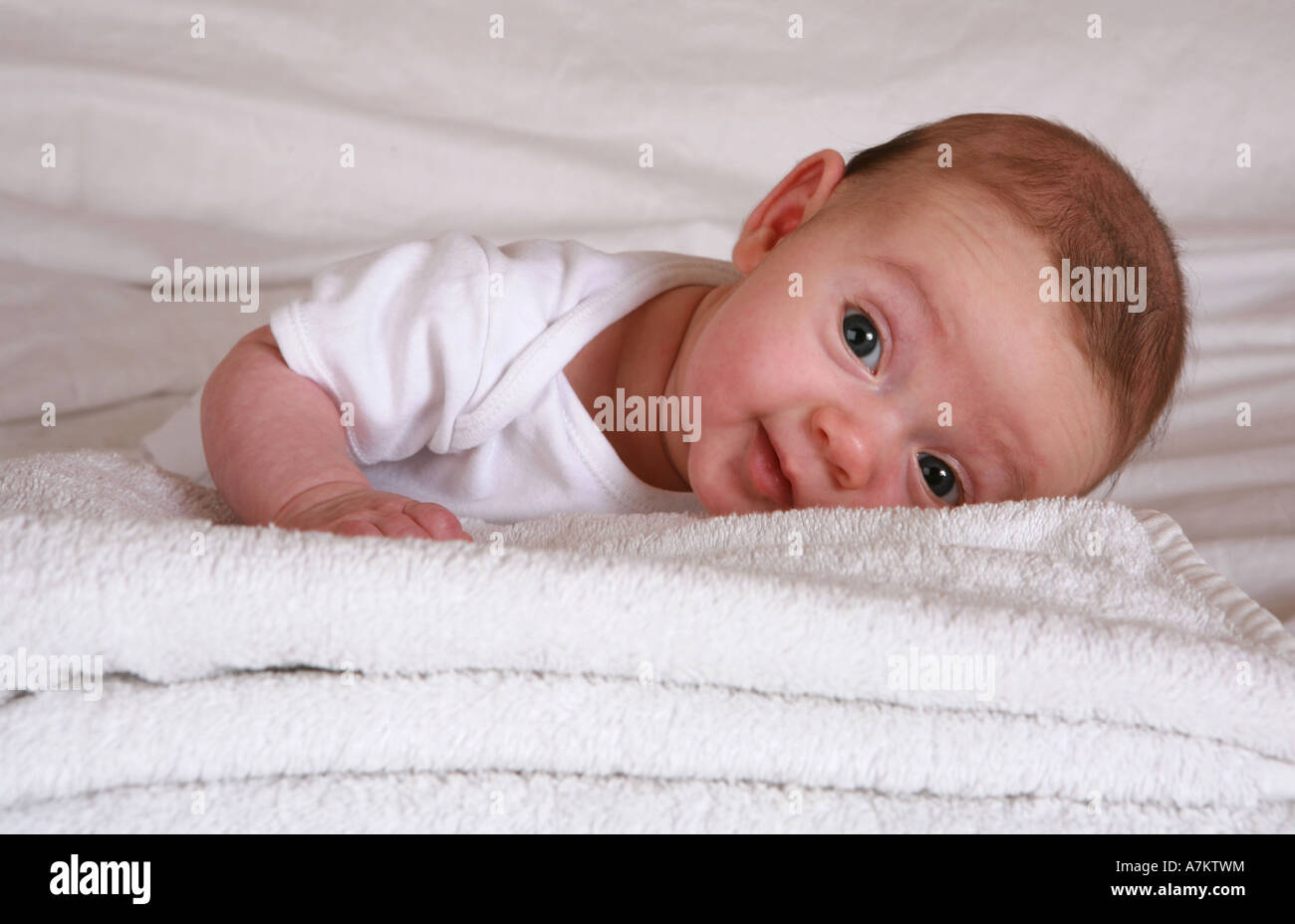 Adorable lovable cheeky three 3 month old newborn baby tilts head to