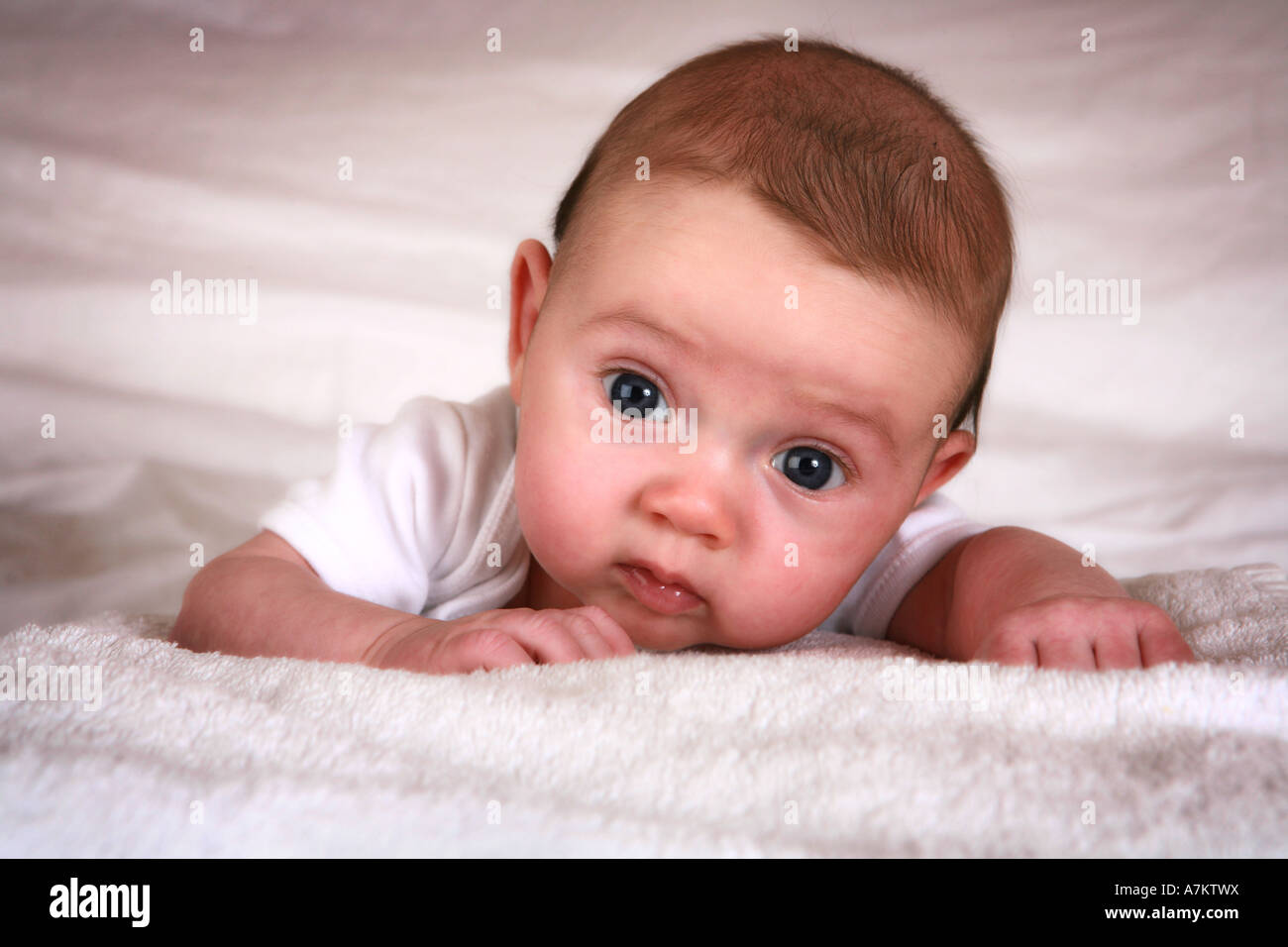 lovable cute newborn baby infant holding head up on white fluffy towels with big