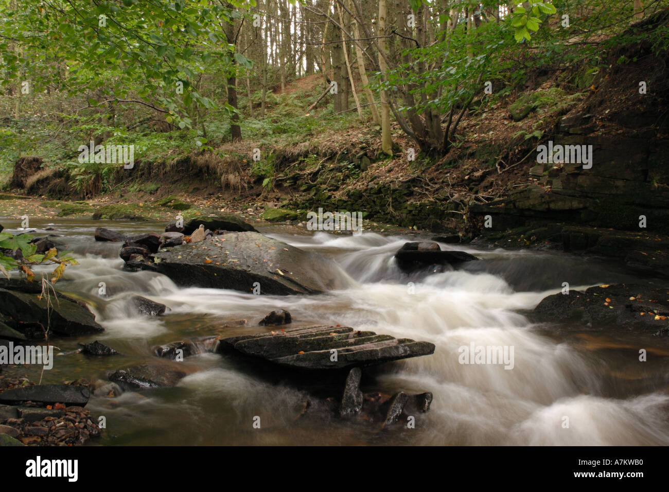 Cheshire Rivers River Dane in the Peak district Cheshire UK Stock Photo - Alamy