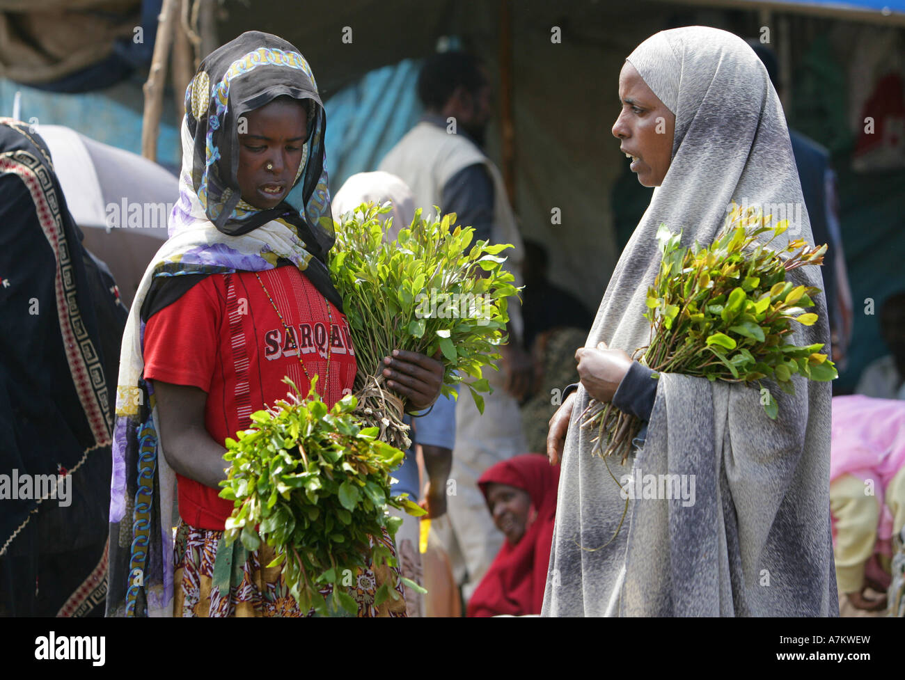 Ethiopia - women selling Chat at the Chat market in Aweday near Harar Stock Photo