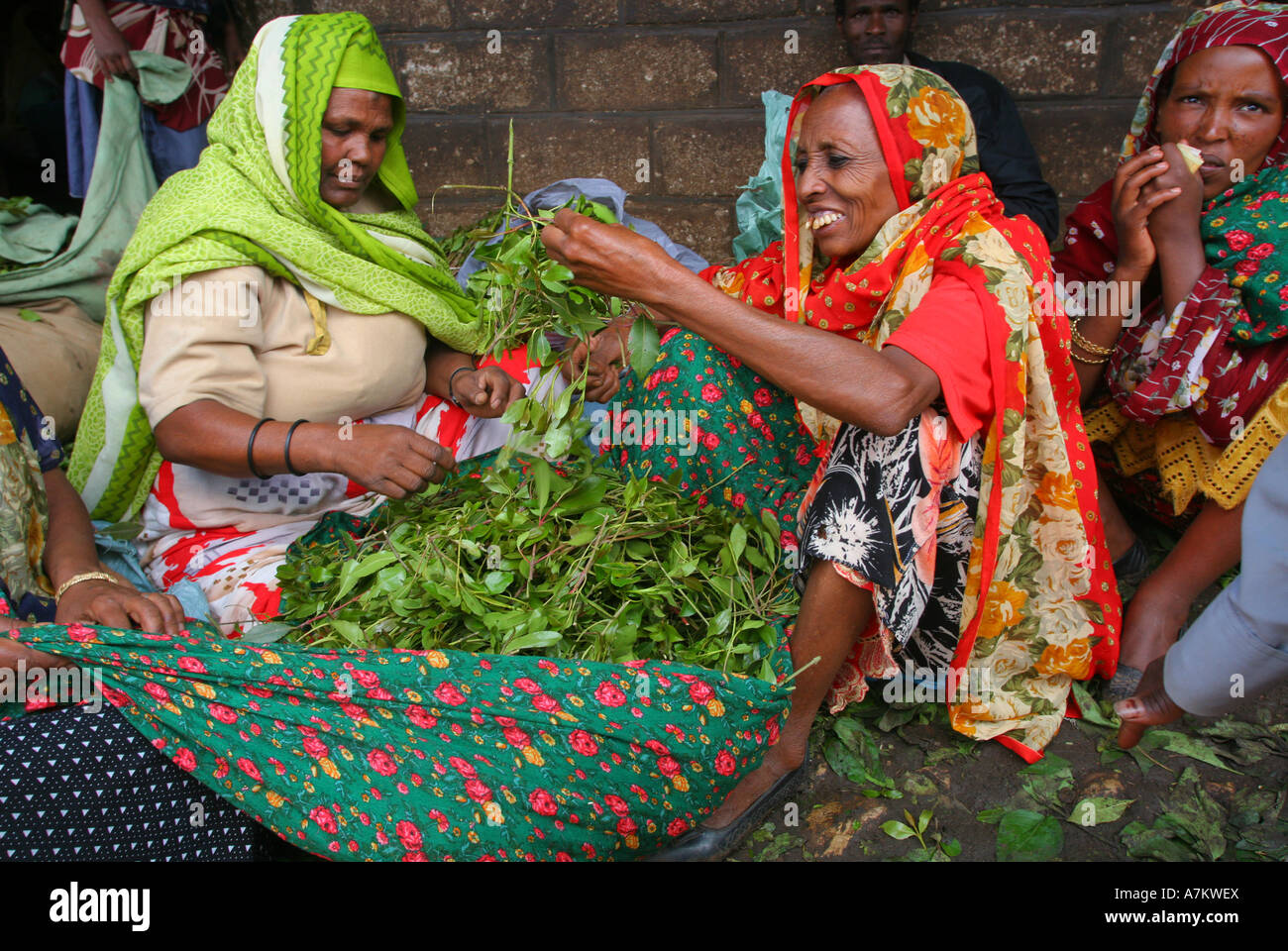 Ethiopia Women Selling Chat At The Chat Market In Aweday Near Harar 