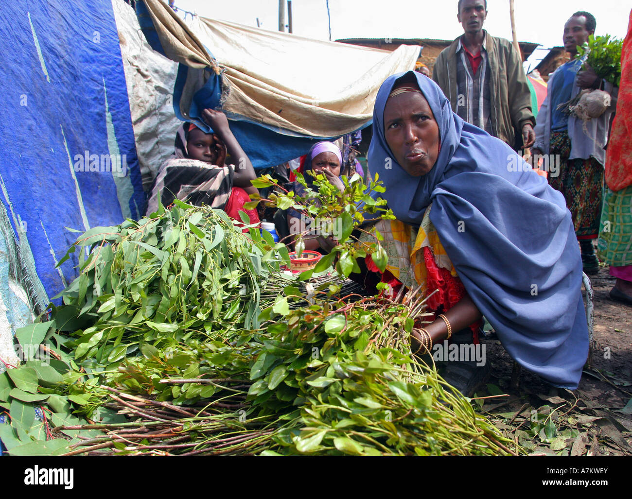 Ethiopia Women Selling Chat At The Chat Market In Aweday Near Harar 